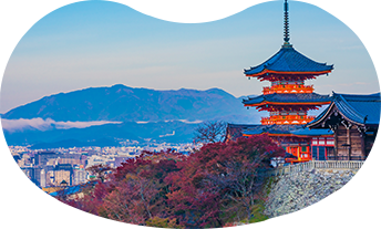 地域のきめ細かいネットワーク