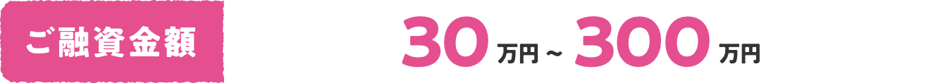 ご融資金額 30万円〜300万円