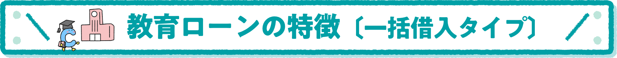 教育ローンの特徴〔一括借入タイプ〕