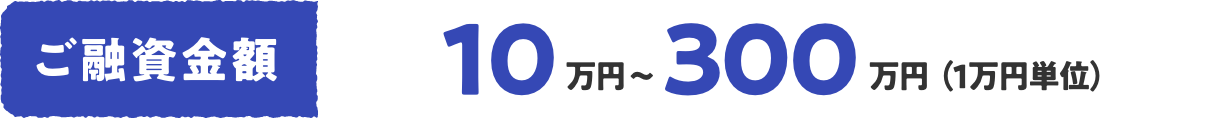 ご融資金額 10万円〜300万円（1万円単位）